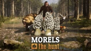 Morels: The Hunt Golden Morels and Collectibles Guide