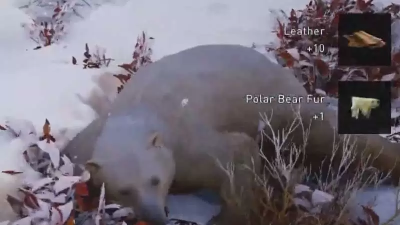 Anleitungen zur Kill-Polarbär