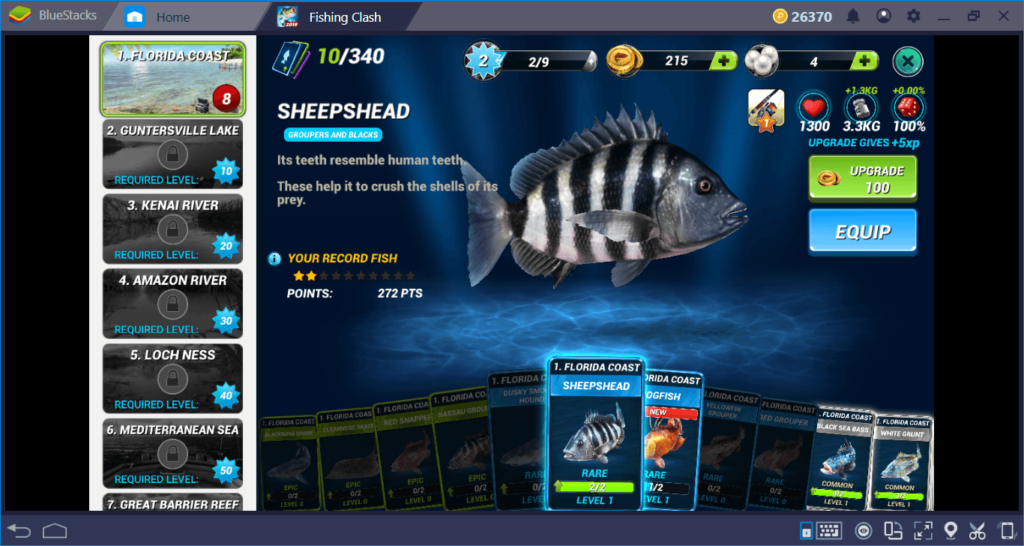 Codes of Fishing Clash (September 2022)