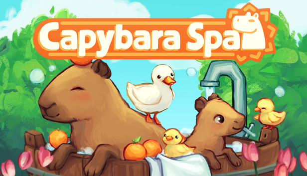 Capybara Spa - Guide to all furniture