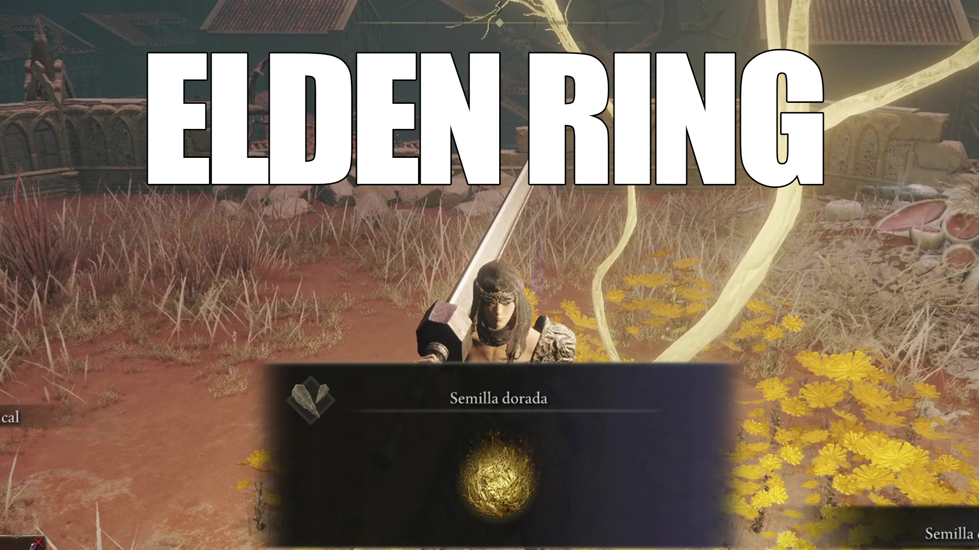 Elden Ring - Location of all golden seeds in Caelid