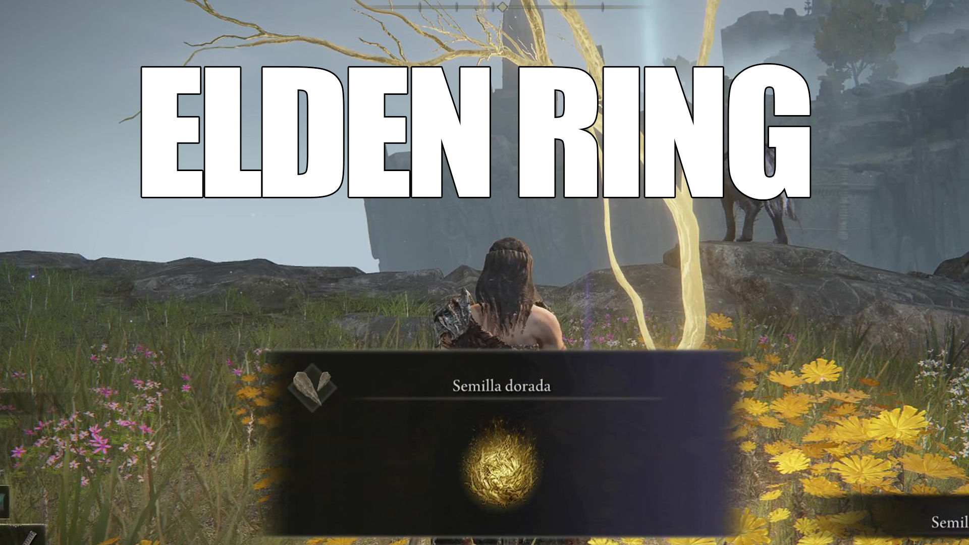 Elden Ring - Расположение всех золотых семян в Лиурнии