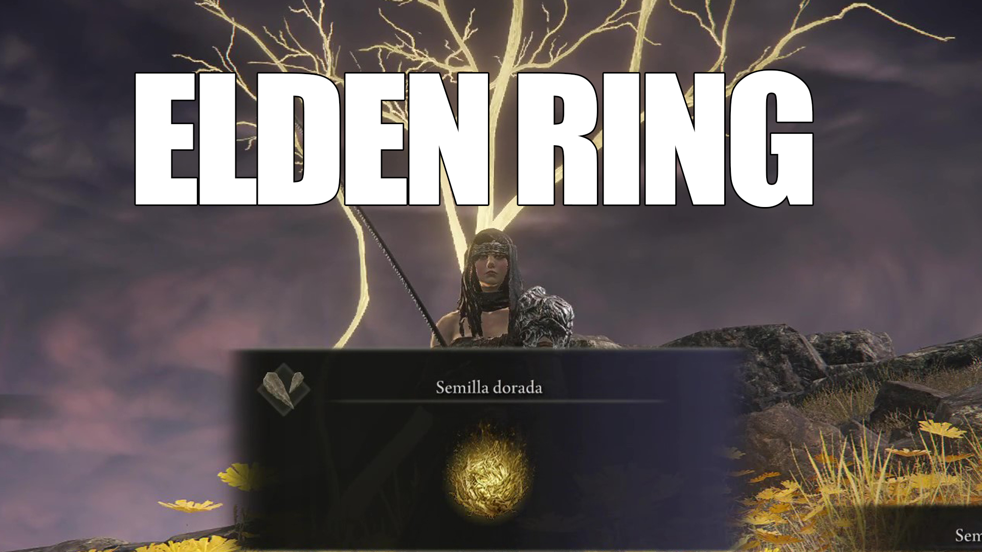 Elden Ring - Localização de todas as sementes douradas em Altus Plateau e Mount Gelmir