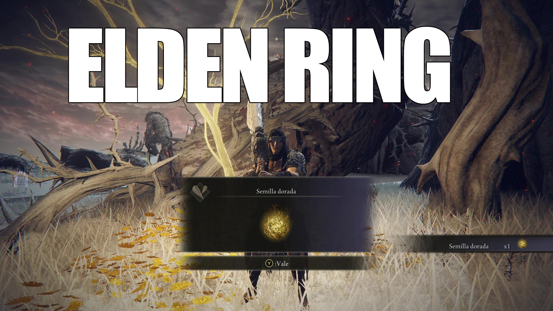 Elden Ring - Semillas doradas en la Capital, Tierras Prohibidas y Picos de los Gigantes