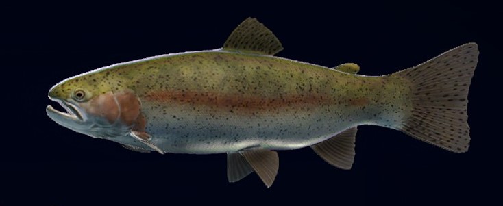 Call of the Wild: The Angler Fish Species Guide (Resumen por mapas)